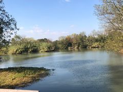 -西溪国家湿地公园