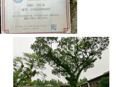-杭州西湖柳莺里酒店
