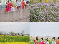 -杭州湾海上花田景区