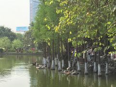 -东莞市可园博物馆