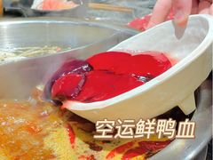 -渝味晓宇火锅(合川路店)