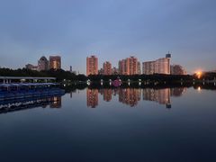 -莲花池公园