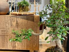 -Metal hands·铁手咖啡