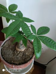 -梵未理疗瑜伽工作室