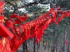 -崂山九水游览区