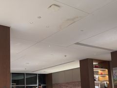 -同庆楼(天鹅酒家店)