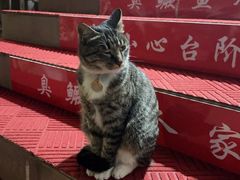 -臭鳜鱼人家·老字号徽菜