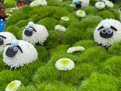 -石家庄市植物园