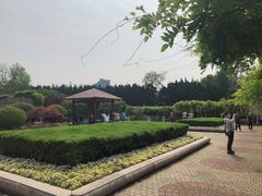 -嘉定紫藤园