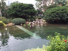 -九龙公园