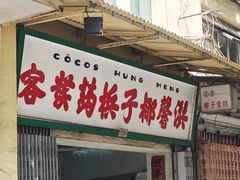 -洪馨椰子
