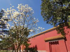 -北京市劳动人民文化宫(太庙)