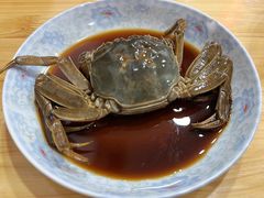 -红灯笼龙凤饭店(宁波老字号店)