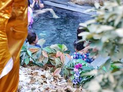 -陆地游轮西山温泉号