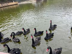 -静之湖度假区