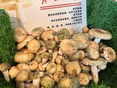 -福照楼汽锅鸡·云南菜(护国路店)