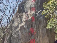 -祥源·阜阳生态乐园