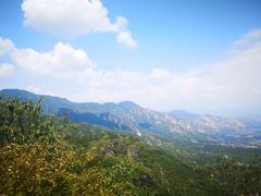 -阳台山自然风景区