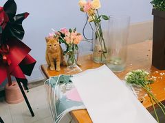 -花心思鲜花店(武昌徐东店)