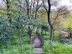 -南京老山国家森林公园