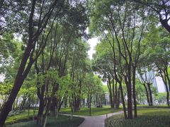 -重庆市江北嘴中央商务区中央公园