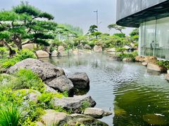 -罗红摄影艺术馆