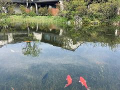 -雅达·阳羡溪山小镇中心