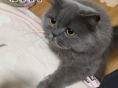 -幸福里DIY蛋糕烘焙·团建·拼豆豆(普陀店)