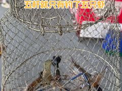 -光头佬室内钓虾场·烧烤·团建·亲子(中山八路店)