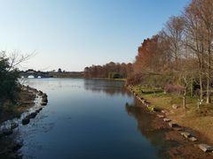 -上海海湾国家森林公园