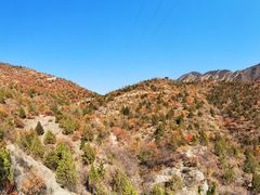-百里山水画廊乌龙峡谷