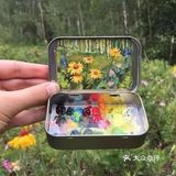 把风景装进小盒子