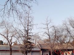 -北京国子监胡同