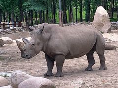 -北京野生动物园