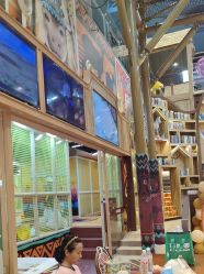 -卡通尼·Safari非洲探索乐园·生日会(金桥国际商业广场店)