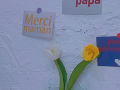 -似季甜铺·糖水·下午茶·小吃(麦地店)