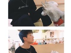 -Husky Go! 哈士奇体验馆·宠物咖啡厅狗咖