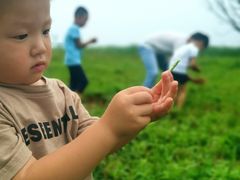 -观澜小洱海
