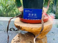 -国家植物园南园