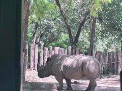 -北京野生动物园