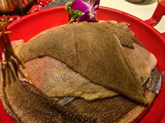 -二荆条·蜀鲜汇城市森林火锅