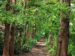 -同里国家湿地公园