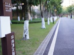 -沐仙湖湿地公园