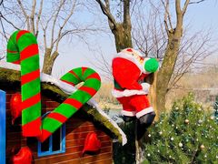 -Supine Bistro溯泮餐厅