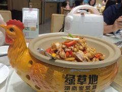 -绿草地·湘菜(芙蓉天街店)