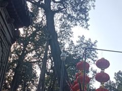 -关林