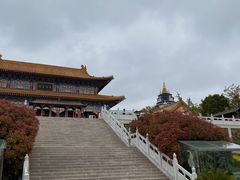 -威海大乳山景区
