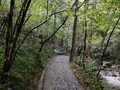 -燕子河大峡谷天坑仙境