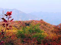 -周口店坡峰岭风景区