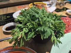 -龙聚德北京烤鸭(沙坪坝华宇A馆店)